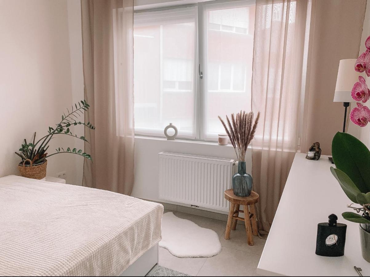 Appartement Vintage Dream à Zwijndrecht Extérieur photo