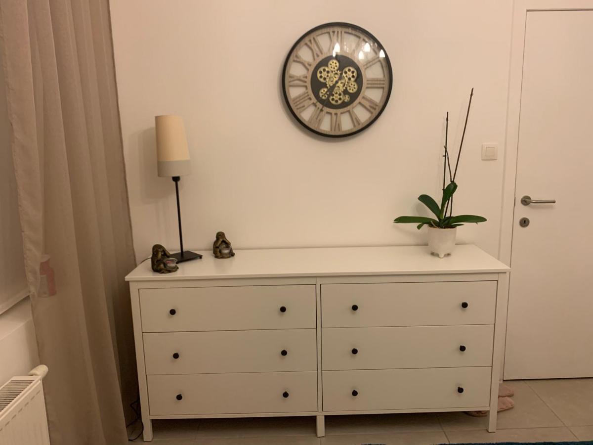 Appartement Vintage Dream à Zwijndrecht Extérieur photo