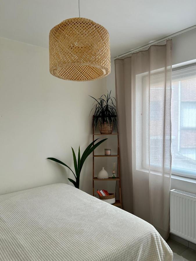 Appartement Vintage Dream à Zwijndrecht Extérieur photo